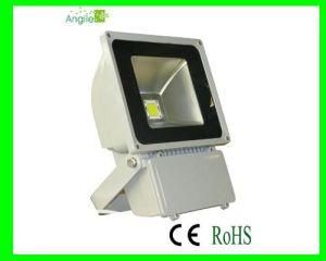 LED Flooding Light (AG-F-L60FG)