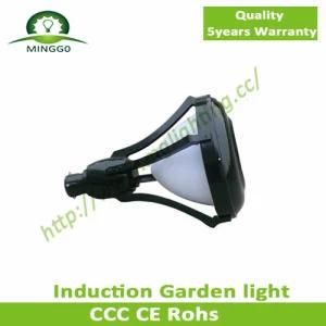 60W~80W IP65 Classic Induction Garden Light