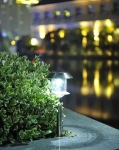 Stainless Steel Solar Lawn Light, Solar Path Light