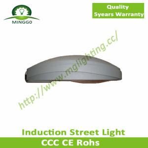 100W~150W Induction Street Light with Outdoor Light