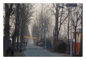 3m-6m Solar Street Lamp with LED/High Press Soduim