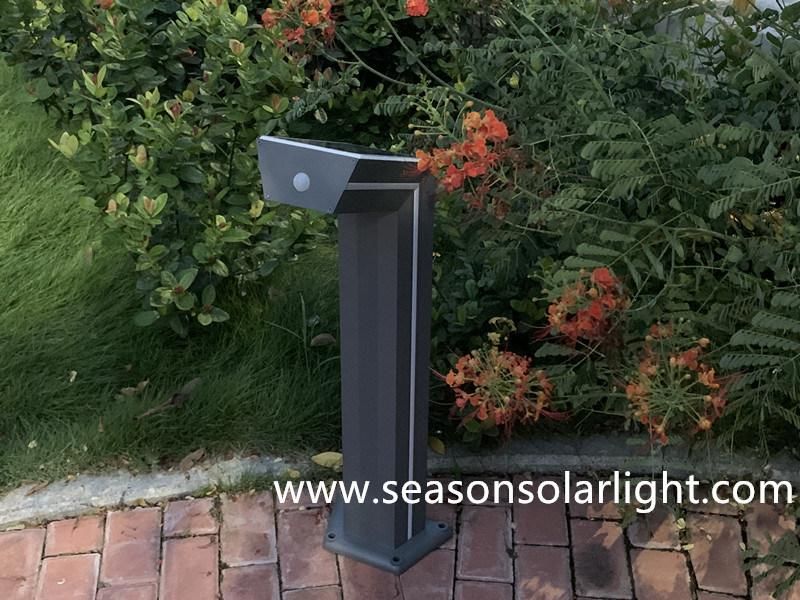 Energy Saving LED Light Pathway Rechargeable 6W Solar Garden Outdoor Solar Lawn Light with LED Lighting