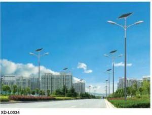 Solar Street Lamp With100W Solar Panel