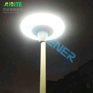 30W/20W Garden Street LED Light with Motion Sensor for Solar