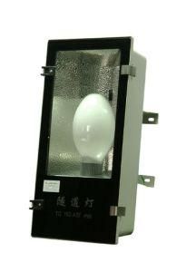 Long Lifetime Tunnel Lamp (PN-SD002)