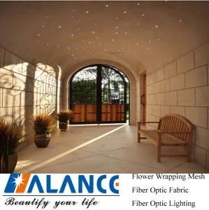 Fiber Optic Star Kit for Outdoor Entry Hall