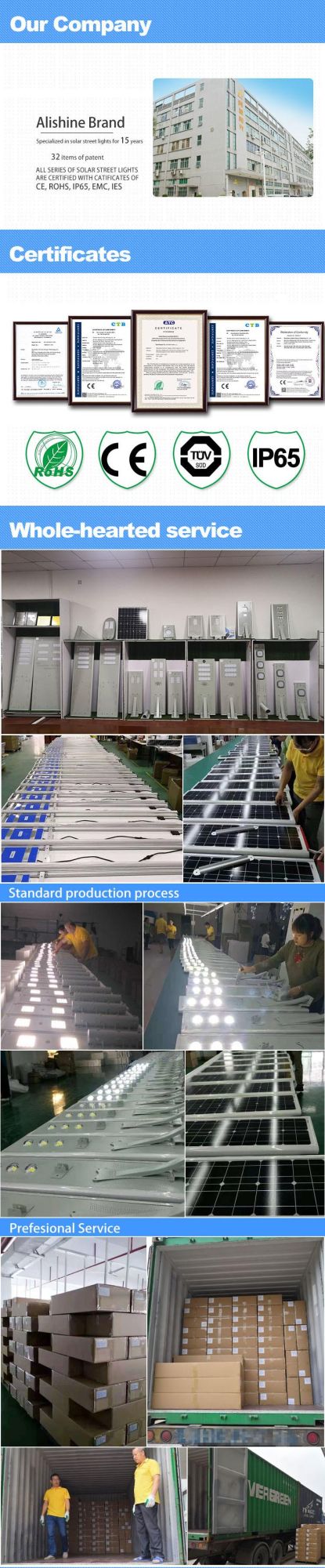 Waterproof LED Outdoor Solar Street/Road/Garden/Light with Panel