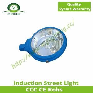 280W~300W Induction Street Lamp with Outdoor Light
