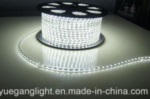 SMD 3528 Strip Low Voltage Decorative Light Bar