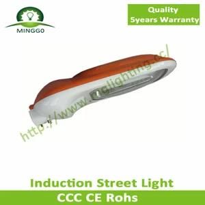 80W~100W Induction Street Light with Outdoor Fiting CE RoHS Approvel