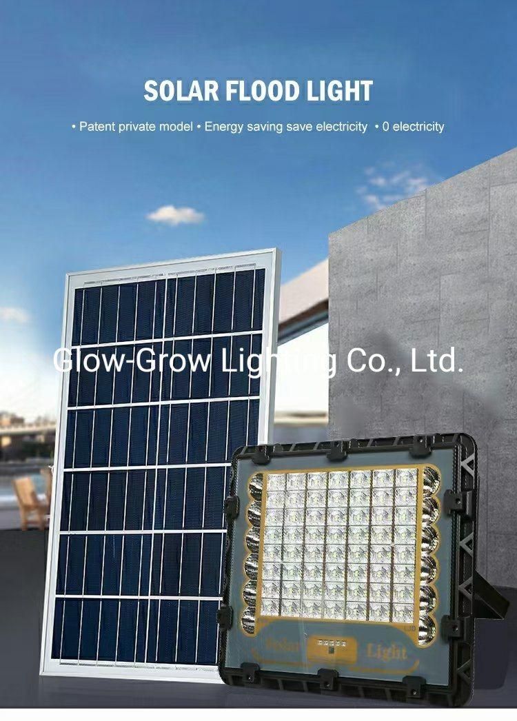 IP66 Waterproof Solar LED Flood Lights Garden Light Outdoor Induction Motion Sensor Solar Flood Light with Timer Remote Control