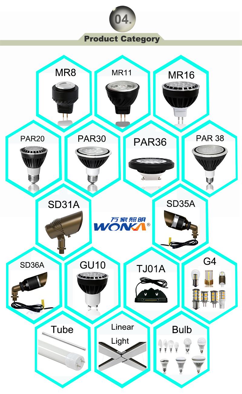 Waterproof IP67 LED Outdoor Light with FCC/ETL Certification