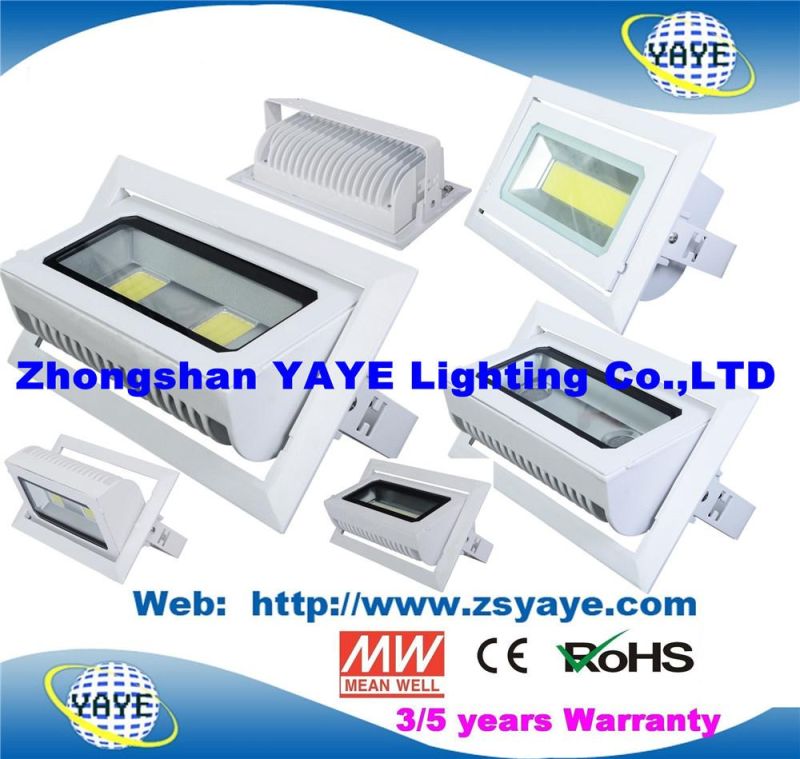 Yaye 18 Top Sell Ce/RoHS Approval COB 30W LED Projector / COB 30W LED Flood Light /COB 30W LED Downlight