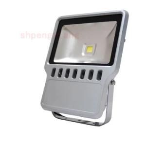 100W LED Flood Light