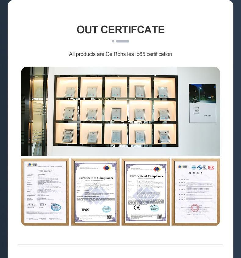 Project Quality Factory Price Outdoor IP65 Waterproof Solar Powered LED Garden Light LED Solar Light