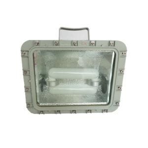 250W Mh HPS Lamp Explosion Proof Flood Light