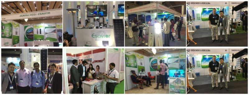 Esavior Inbuilt Micro-BMS Technologies Integrated LED Solar Street Lights Solar Lights