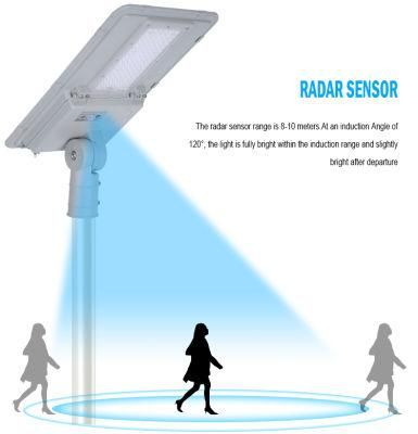 Professional Solar LED Outdoor Lighting Supplier High Quality Solar Street Light for Project