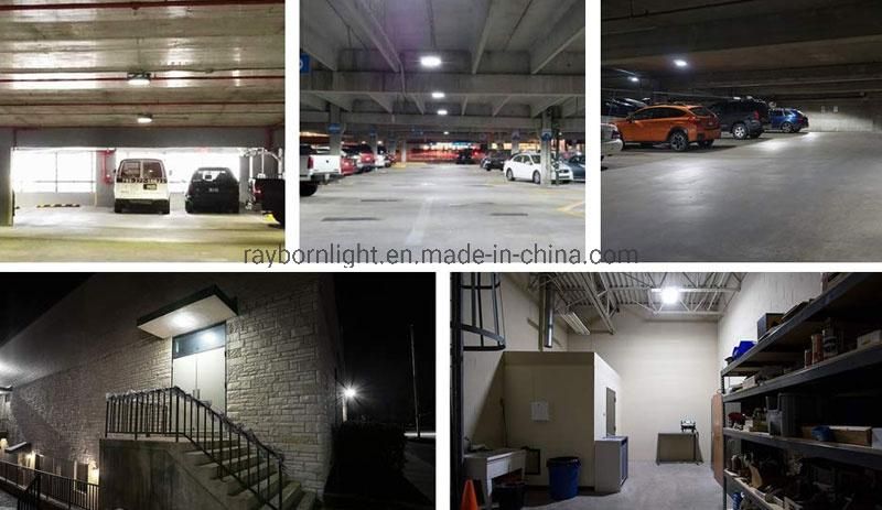 Anti-Corrosion 80W 100W 150W 120W Explosion Proof LED Flood Lighting for Gas Station