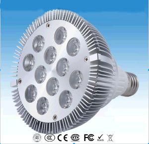 Dimmable PAR38 PAR30 LED Spotlights (CE, RoHS, UL etc)