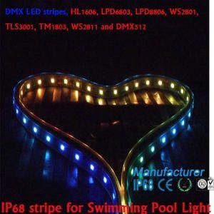 DMX512 Digital Flexible LED Strip, Digital LED Strip