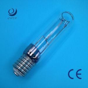 100W High Pressure Sodium Lamps (SON -T100)