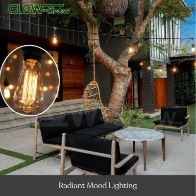 Edison Bulb Globe Connectable Serial Solar LED String Light for Holiday Garland