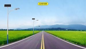 Outdoor Low Price 30W LED Lighting Solar Street Light with Pole