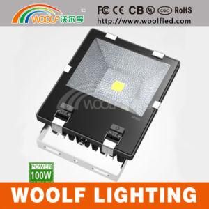 China Woolf CE RoHS Outdoor IP65 COB LED Floodlight