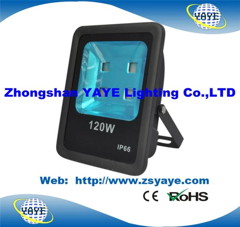 Yaye 18 Hot Sell Ce/RoHS 300W COB LED Flood Light/ COB LED Floodlight with 3/5 Years Warranty
