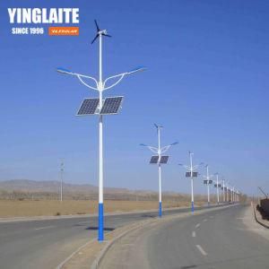 Wholesale 6m 30W Outdoor LED Lithium Battery Solar Street Light