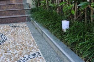 Stainless Steel Solar Bollard Light, Solar Light