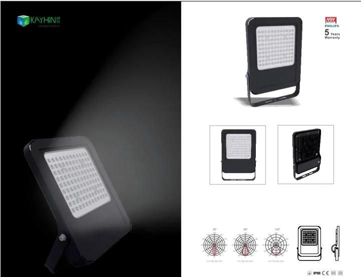 China LED Flood Light Outdoor Aluminum Waterproof LED Floodlight with Sensor 30W 100lm/W IP65 LED Spot Light LED Flood Light