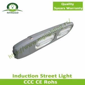 80W/120W/150W Induction Street Lamp IP68 Waterproof