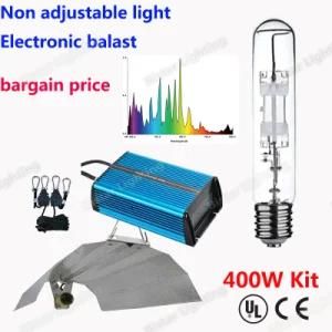 Factory Direct Supply Wholesale Price Metal Halide Lamp 400W Plant Growing Lamp