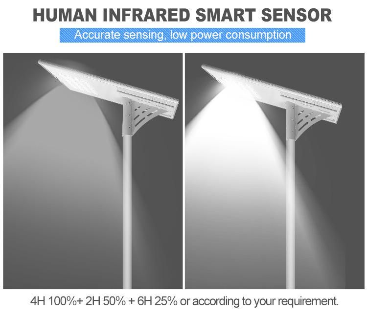 High Efficiency Mono Solar Panel 100W 3030 LED Street Light