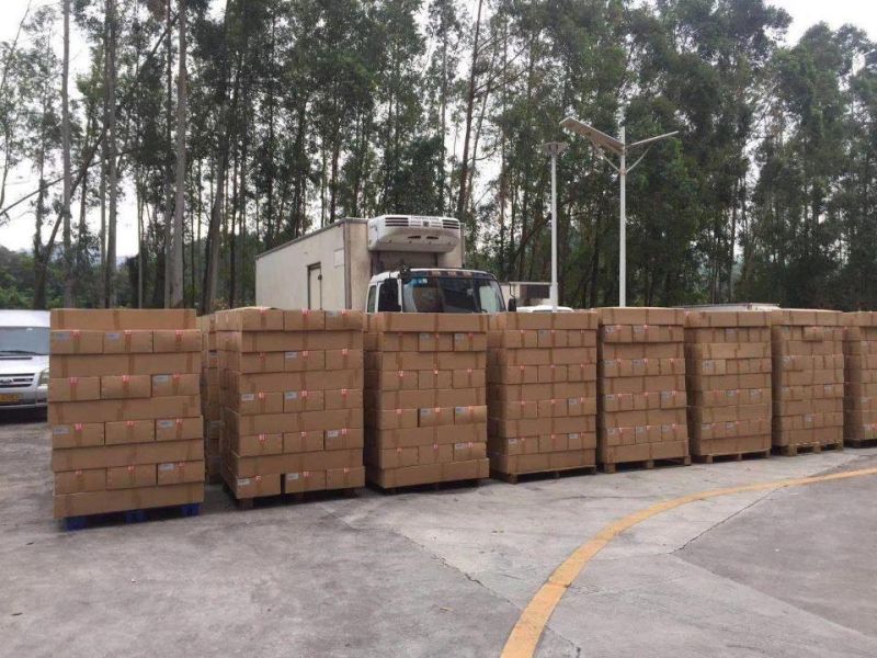 2020 New Product in China Streat Light Solar