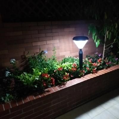 Landscape Pathway Lights Outdoor LED Solar Light