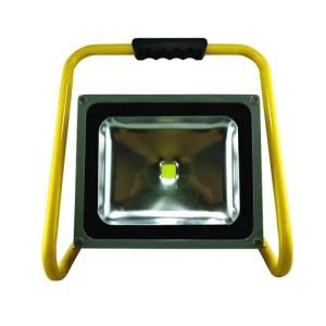 30W LED Flood Light (PW2031-S)