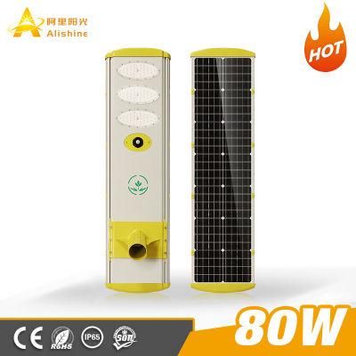 Aluminum LED Street Lighting 80 Watt Solar LED Street Light