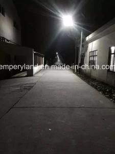 8m 60W LED Lamp for Street Light Outdoor Lighting (DZS-002)