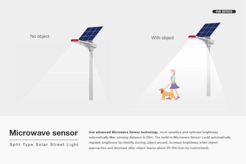 Sunpal OEM Design 20watt 30watt Light Control Solar Lamp
