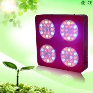 USA Stock 6-Band Two Switches 200W LED Grow Light Panel for Mjj