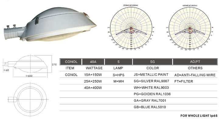 HID Street Light