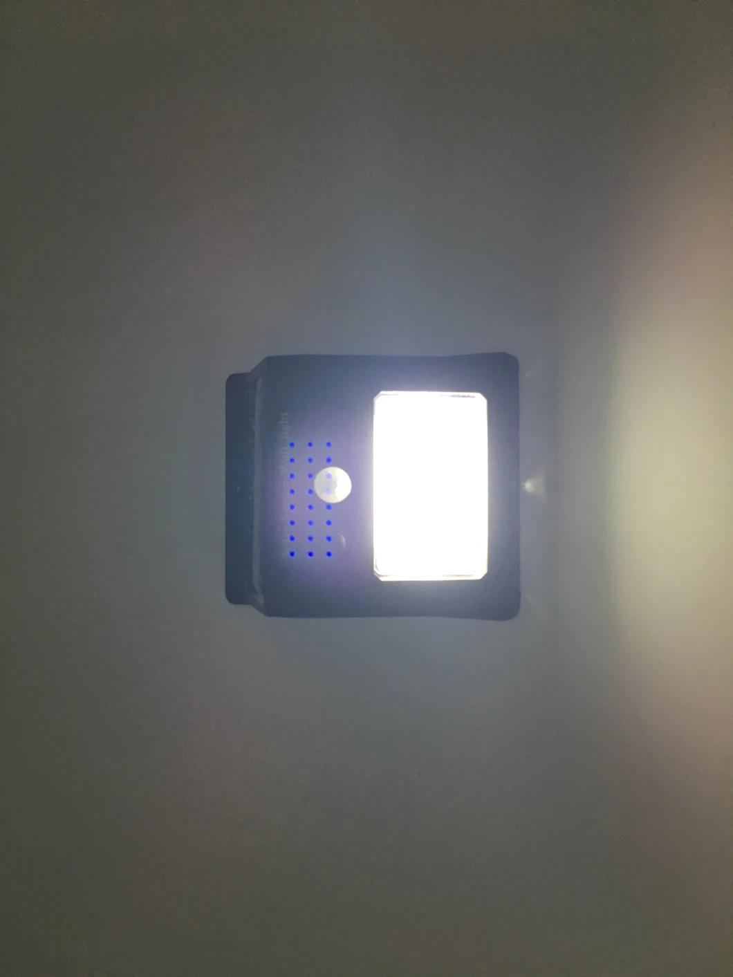 New Solar Motion Sensor COB Light (RS2003COB)