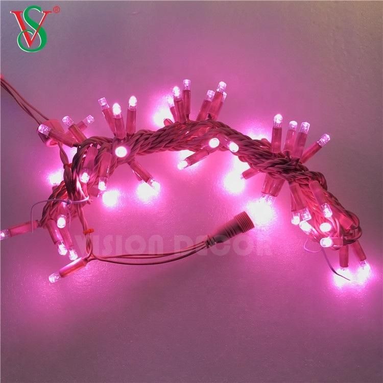 LED Colorful Light for Christmas