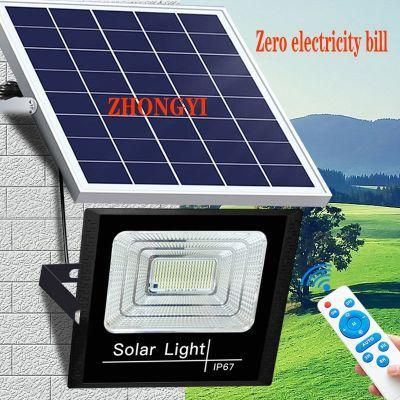 Solar Charging - Human Body Induction Light-10 Years Zero Electricity Bill