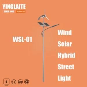 Good Performance Gel Battery 6m Pole 50W Wind Solar Hybrid Street Lamp