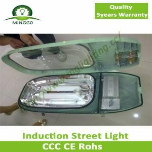 190W~250W Induction Street Light Road Lamp Outdoor Lamp IP68 Waterproof