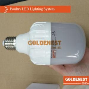 Poultry LED Lighting Lamp